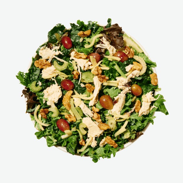 Waldorf Salad with Shredded Chicken