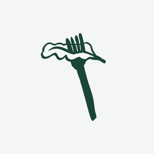 Compostable Fork & Napkin