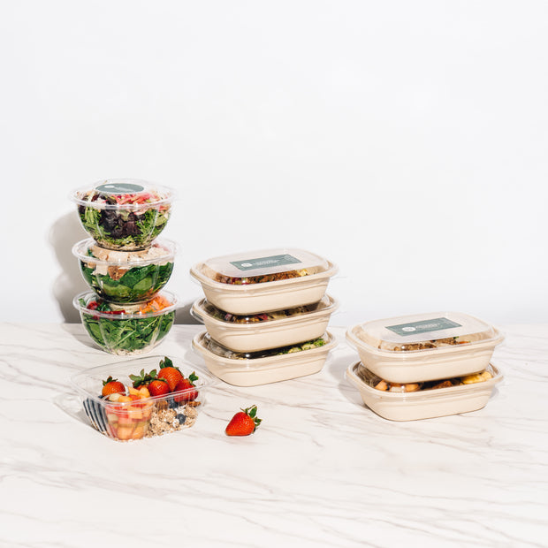 3 - Day Meal Plan (Wellness)
