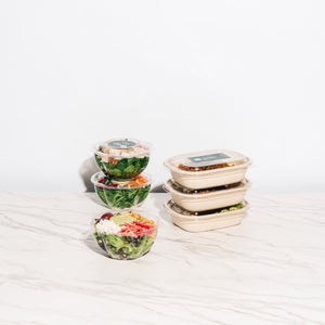 3 - Day Meal Plan (Wellness)